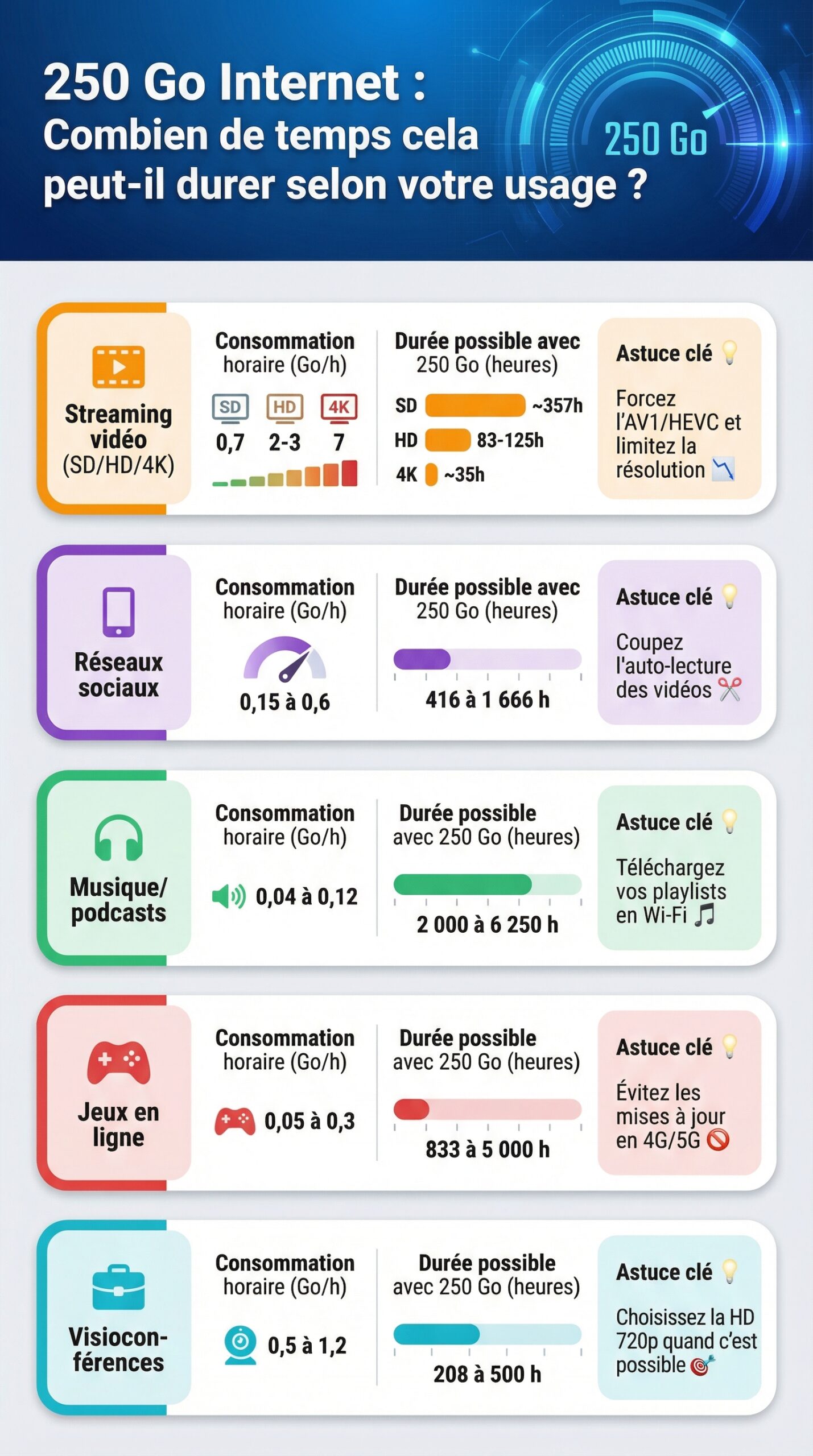 Infographie récapitulative : 250 go internet : combien de temps cela peut-il durer selon votre usage ?